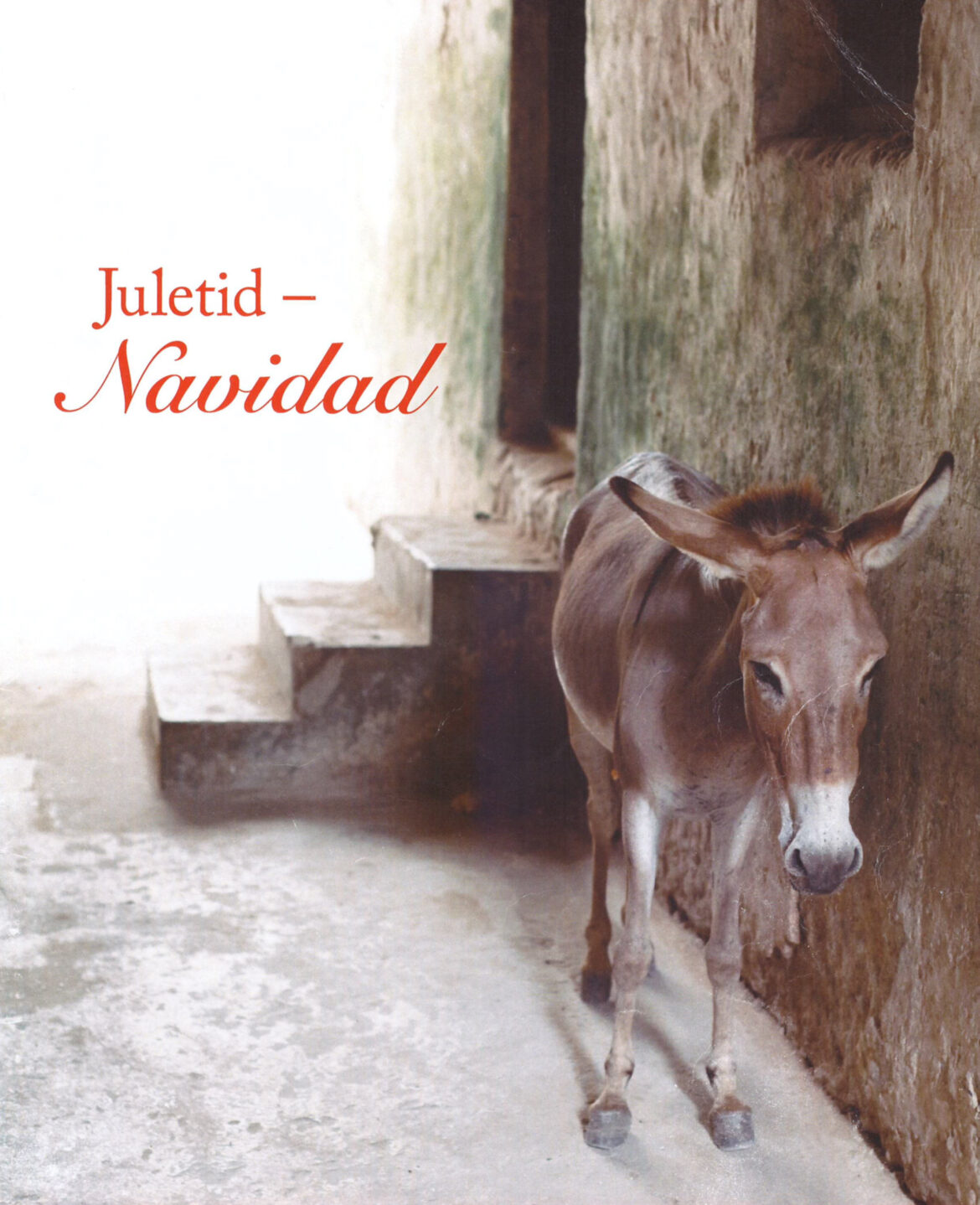 Juletid – Navidad